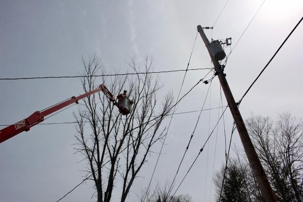 Treekings Arboriculture Inc.