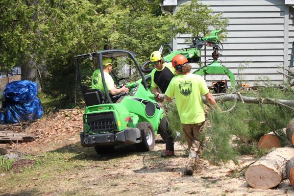 Treekings Arboriculture Inc.