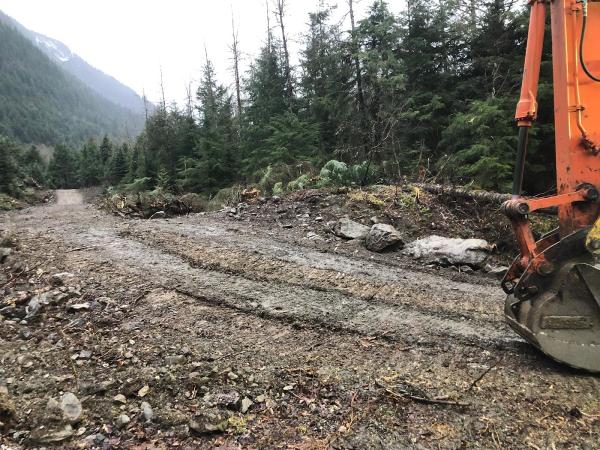 Bonnar Timber Logging & Land Clearing