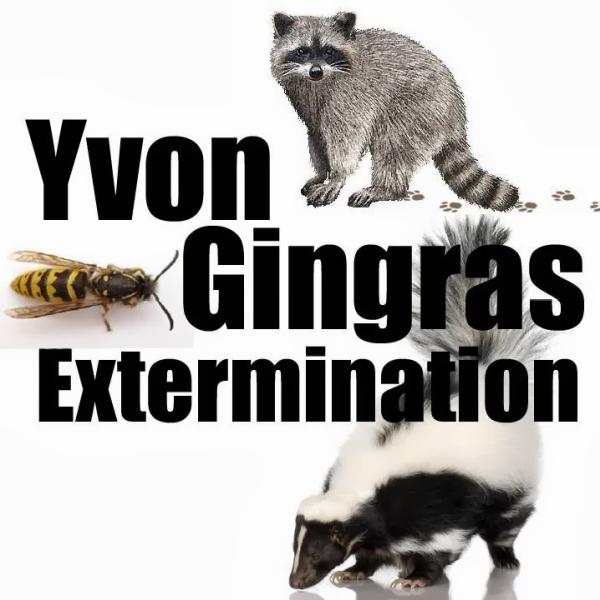 Yvon Gingras Extermination