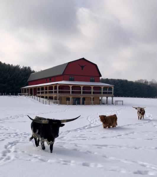 The Sonneveld Ranch