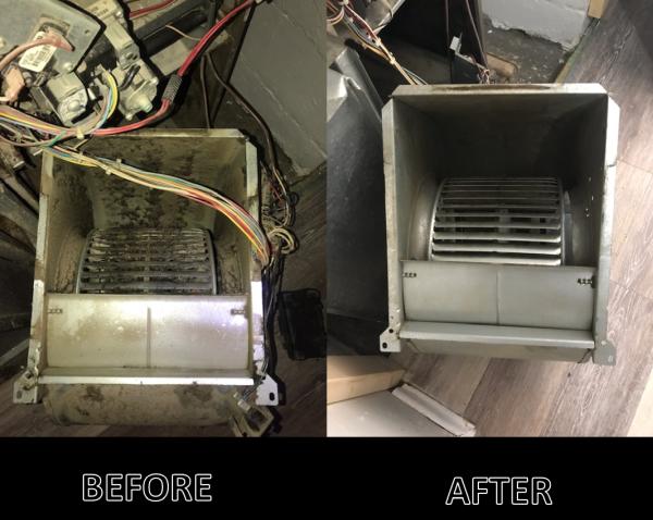 Citywide Furnace Cleaning