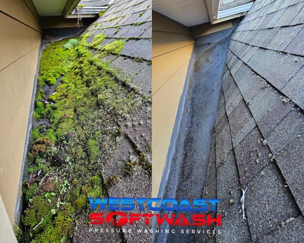 West Coast Softwash : Roof Cleaning & Pressure Washing Services
