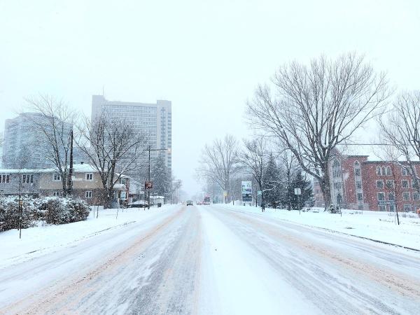 La Cité Verte