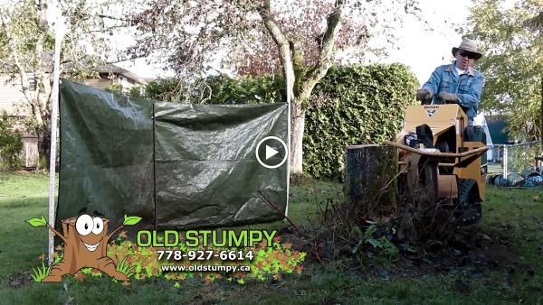 Old Stumpy
