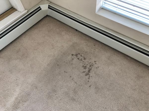 Calgary Carpet Repair & Cleaning