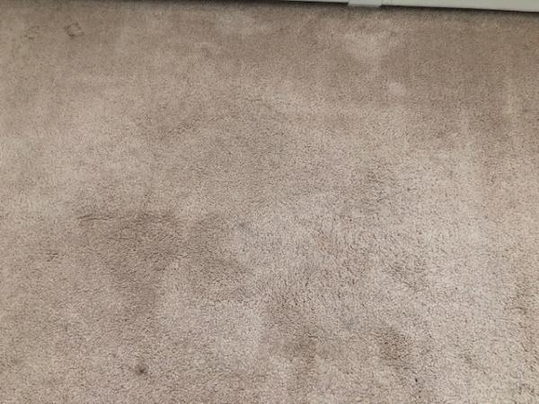 Calgary Carpet Repair and Cleaning