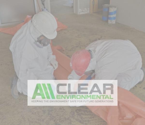 All Clear Environmental