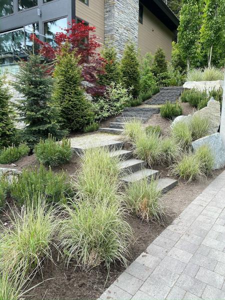 Mountainberry Landscaping