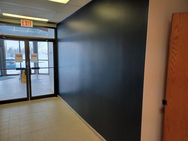 Expert Painting