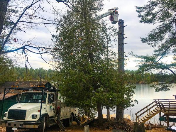 Stoneroad Tree Service