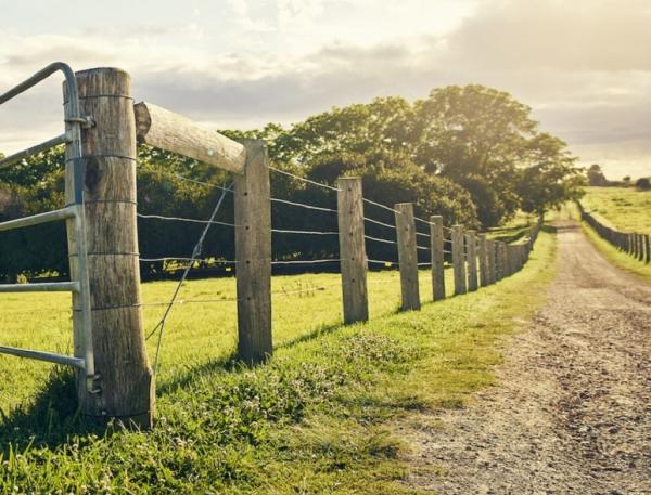 Straight Line Fencing