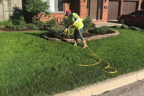 Chad's Grass Snow and More