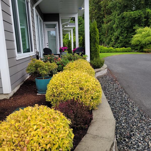 Semper Viridis Property Maintenance