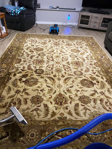 Skookum Carpet Care