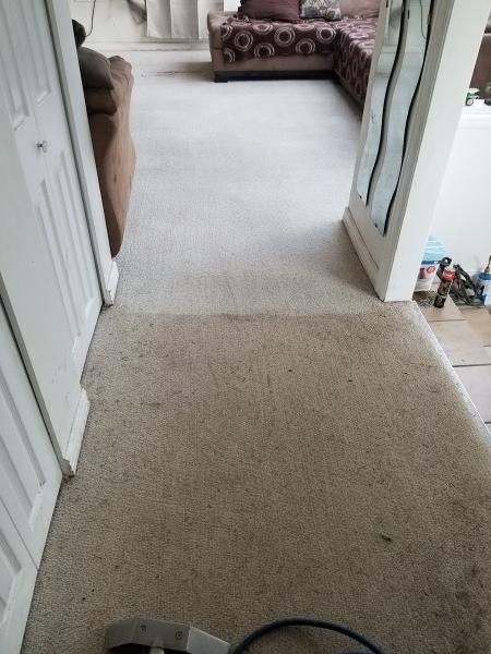 Nanaimo Carpet Cleaning