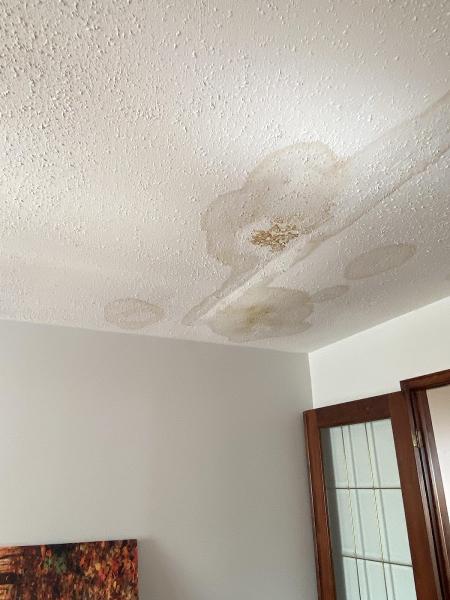 Paintek Plus