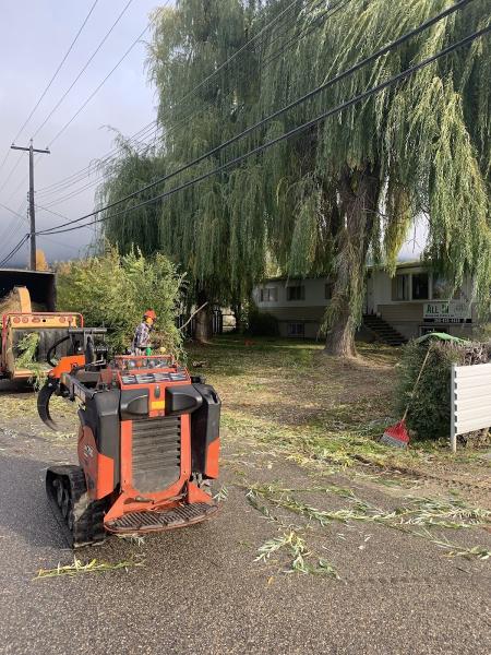 Burton Tree Service