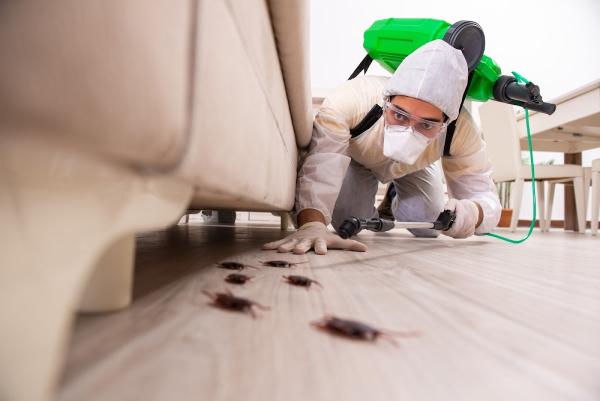 Pest Control Abbotsford bc