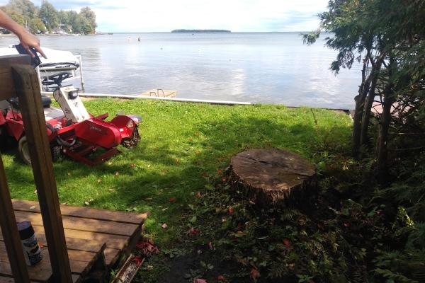 ORO Stump Grinding and Groundskeeping Services