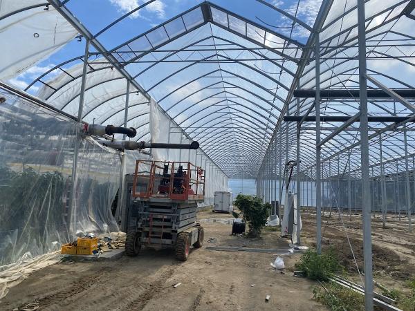 Dyhard Greenhouse Services