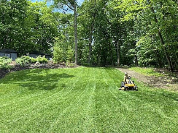 Muskoka Mowing