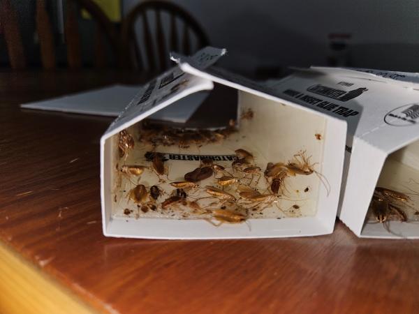 Sphère Extermination