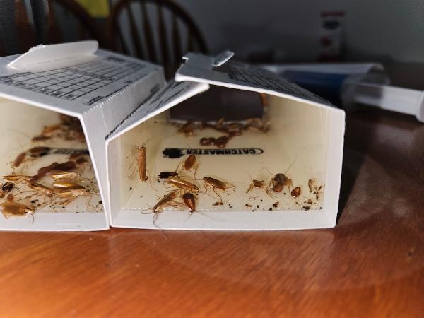 Sphère Extermination