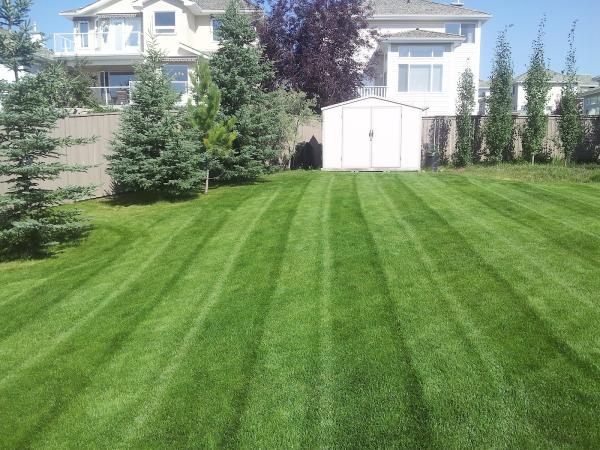 Cougarstone Lawn Care