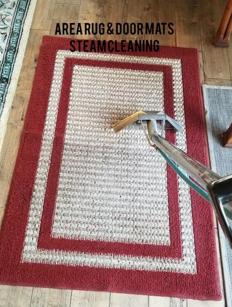 Royal Steam Carpet & Upholstery Cleaning