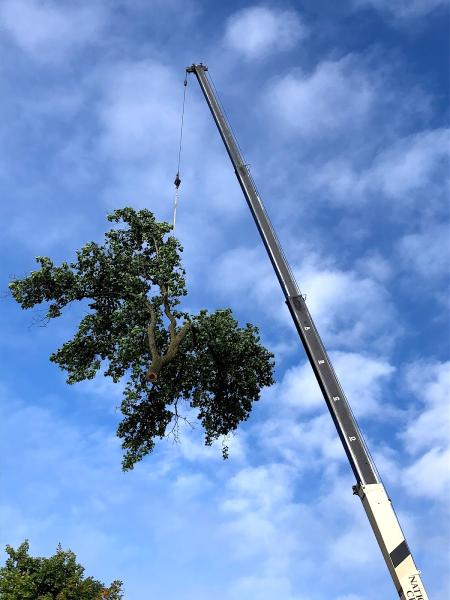 Four Seasons Tree Service