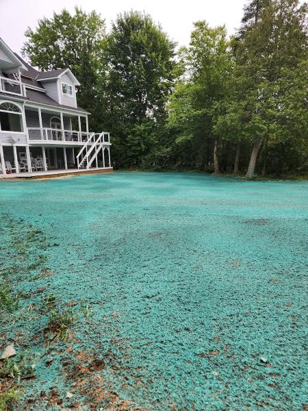 Perennial Hydroseeding