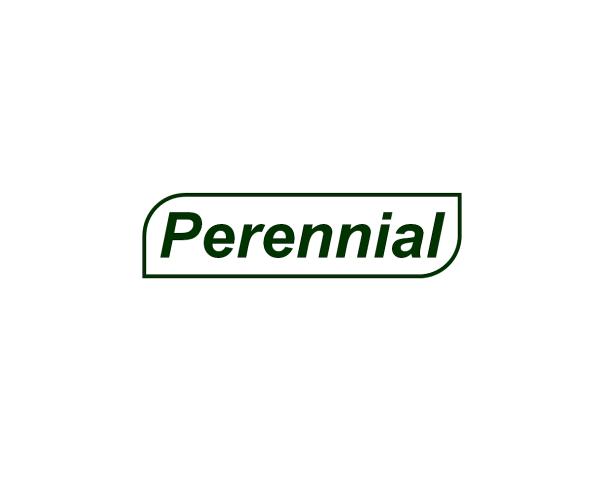 Perennial Hydroseeding