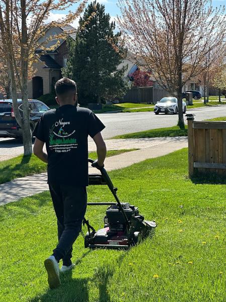 Niagara Landscaping Lawn Care and Cleaning (Nllc)