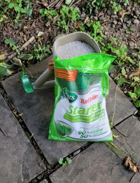 Lawn Time