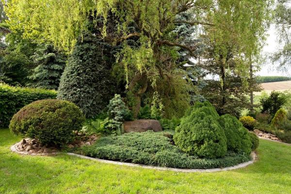 Chilliwack Landscaping Pros