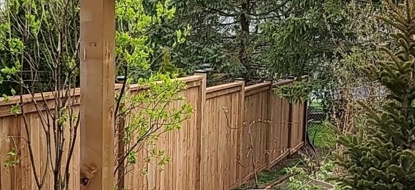 Elgin Fence AND Deck