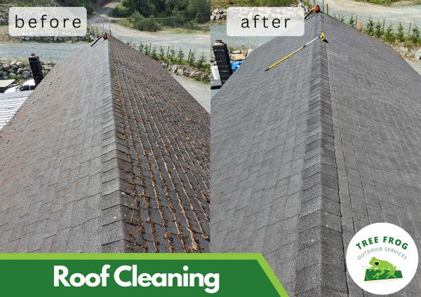 Treefrog Outdoor Services