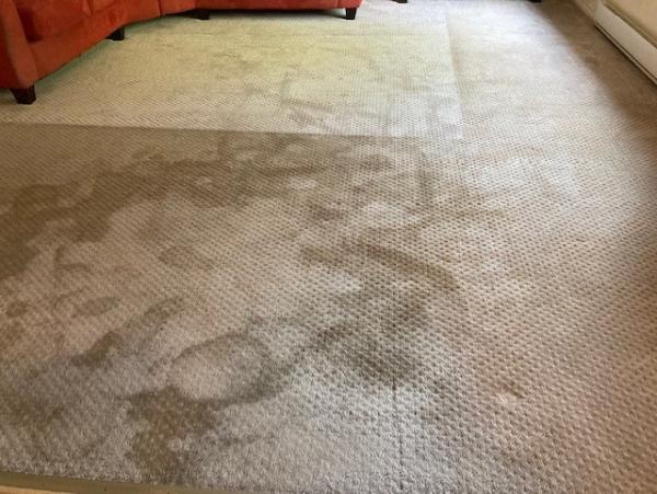 Titan Carpet Cleaning Service