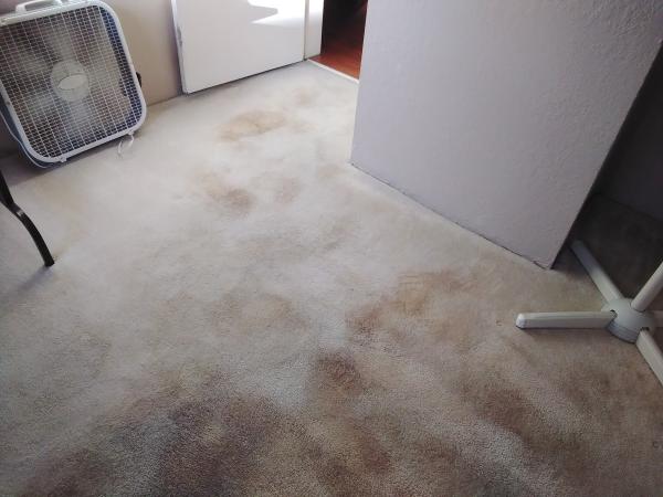 Titan Carpet Cleaning Service