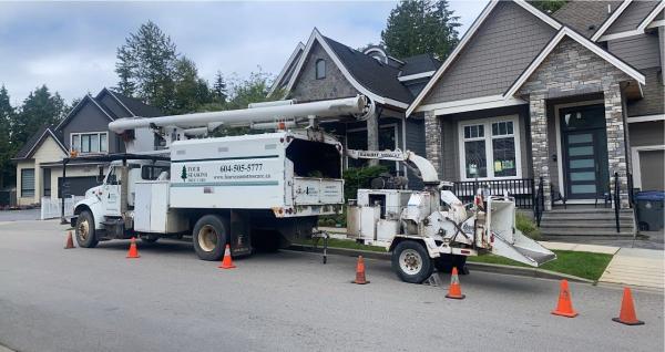 Four Seasons Tree Care