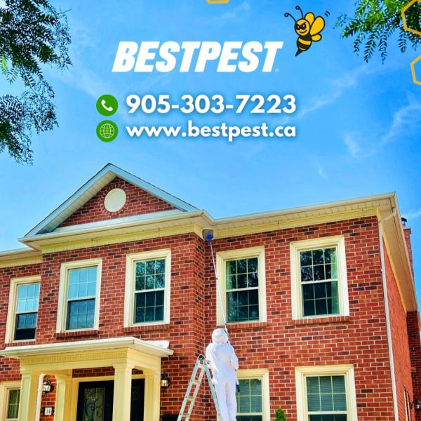 Bestpest Canada