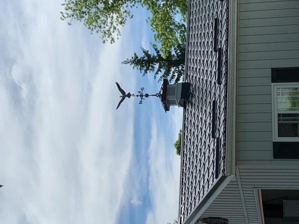 Sarnia Steel Roofing & Siding