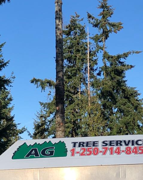 AG Tree Service