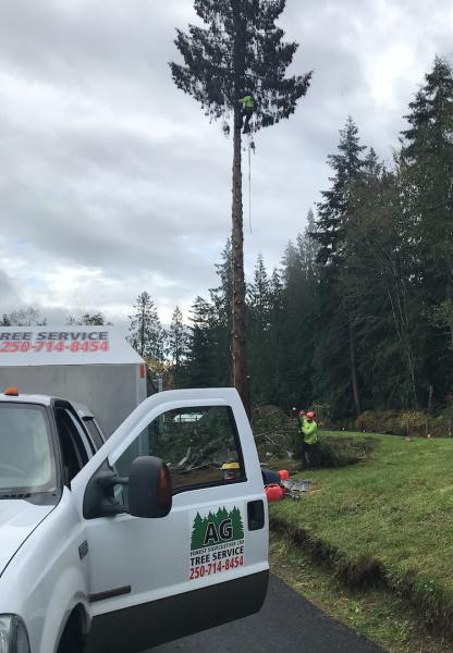 AG Tree Service