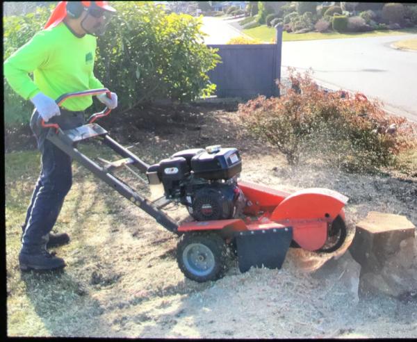 AG Tree Service