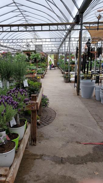 Sunshine Nursery & Greenhouse