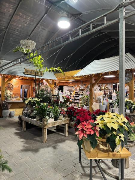 Sunshine Nursery & Greenhouse