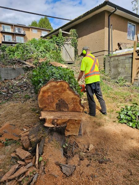 Tree Care Pros