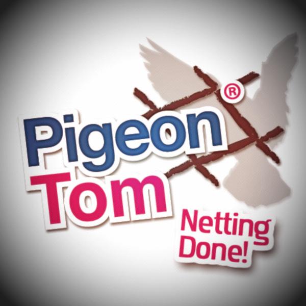 Pigeon Tom